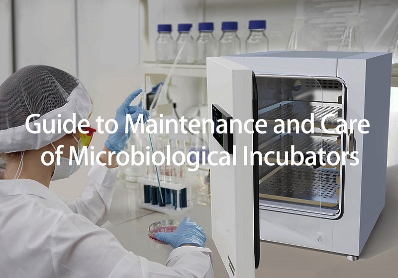 Guide d'entretien et d'entretien des incubateurs microbiologiques