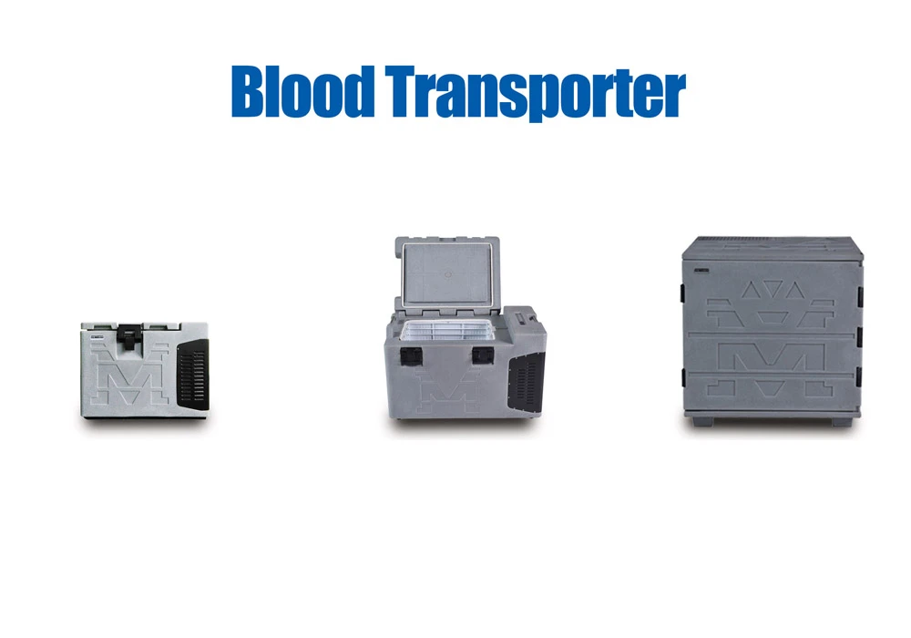 Quelles sont les 5 principales choses que le sang transporte ?